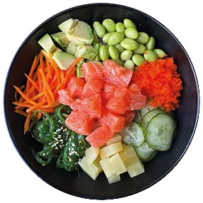 Bowl su lašiša – Slice Sushi