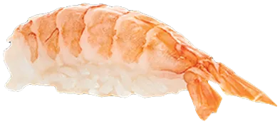 Krevečių nigiri – Slice Sushi